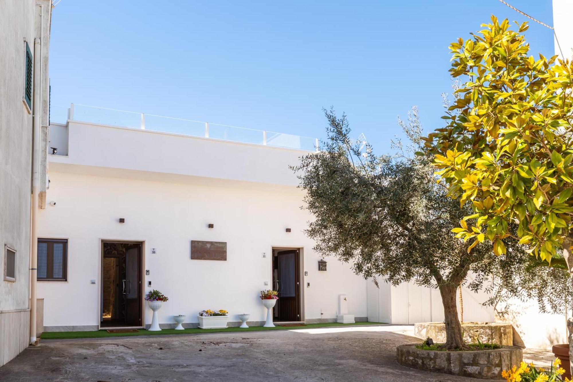 Luxuite Spa Con Piscina E Jacuzzi Alberobello Buitenkant foto